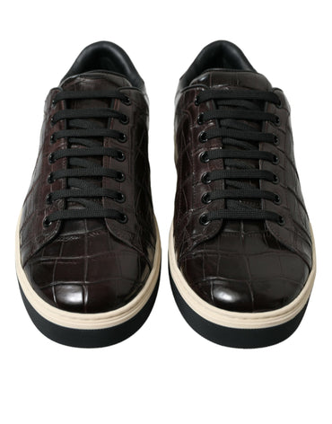 Dolce & Gabbana Elegant Exotic Leather Low-Top Sneakers