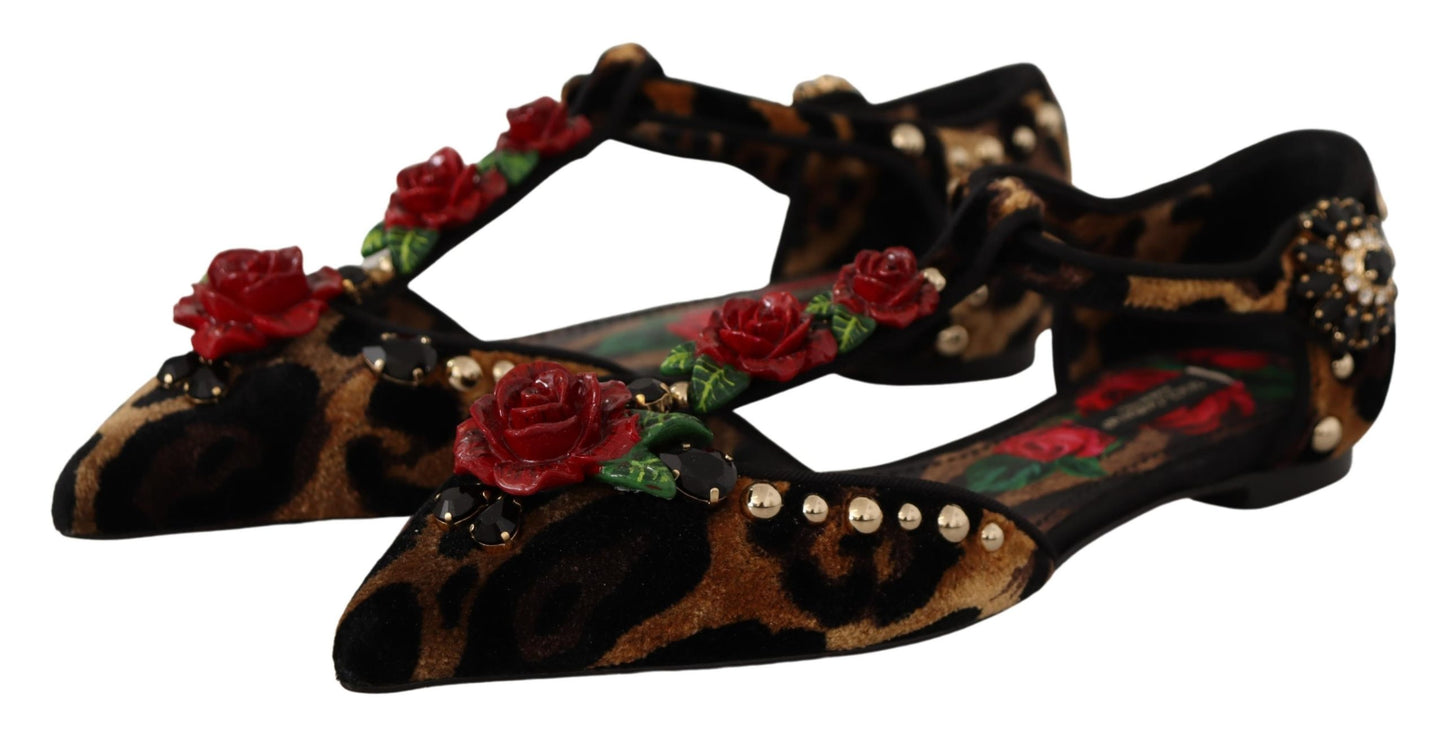 Dolce &amp; Gabbana Braune Ballerinas mit verziertem Leopardenmuster