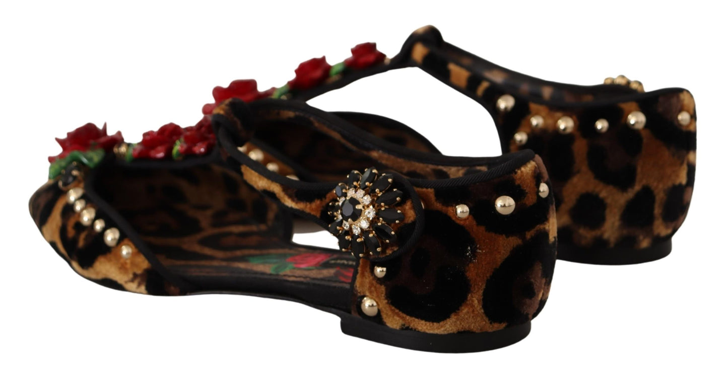 Dolce &amp; Gabbana Braune Ballerinas mit verziertem Leopardenmuster