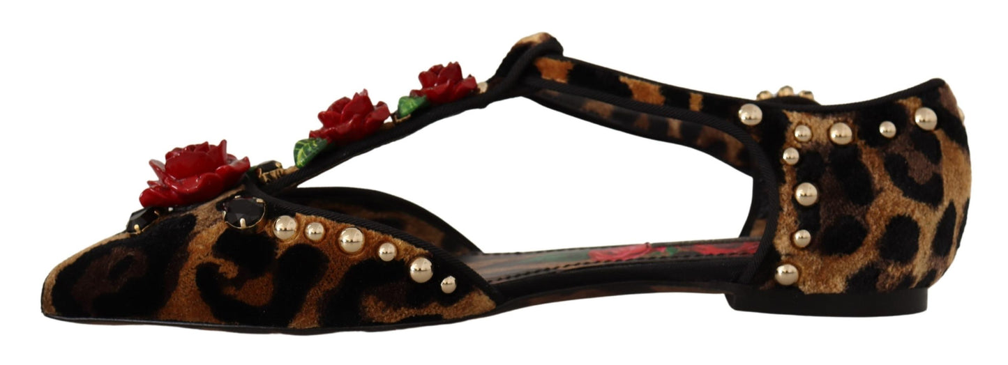 Dolce &amp; Gabbana Braune Ballerinas mit verziertem Leopardenmuster