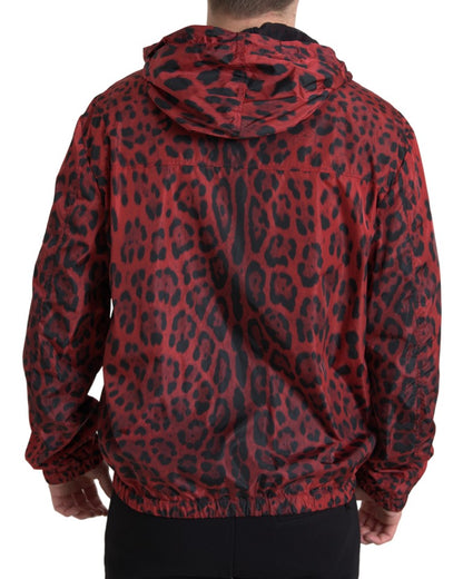 Dolce &amp; Gabbana Rote Leoparden-Bomberjacke mit Kapuze und durchgehendem Reißverschluss