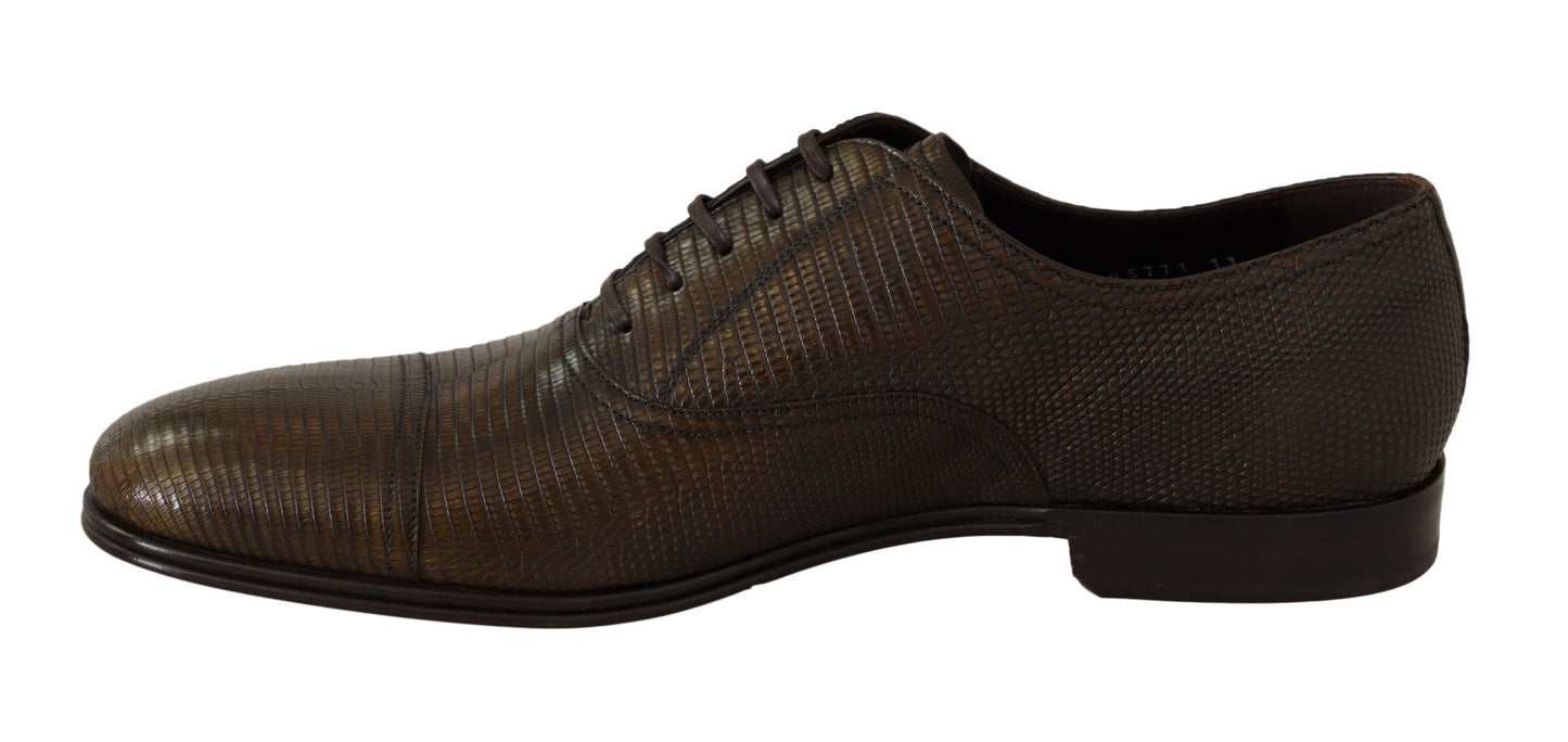 Dolce &amp; Gabbana Braune Oxford-Schuhe aus Eidechsenleder