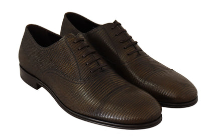 Dolce &amp; Gabbana Braune Oxford-Schuhe aus Eidechsenleder