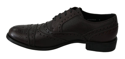 Dolce &amp; Gabbana Brogue-Derby-Kleiderschuhe aus braunem Leder