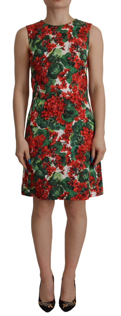 Mehrfarbiges knielanges Kleid aus Geranium-Baumwolle von Dolce &amp; Gabbana