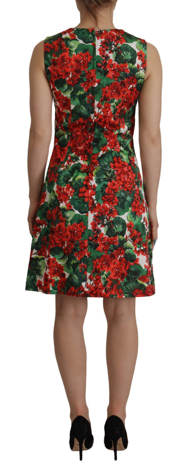 Mehrfarbiges knielanges Kleid aus Geranium-Baumwolle von Dolce &amp; Gabbana