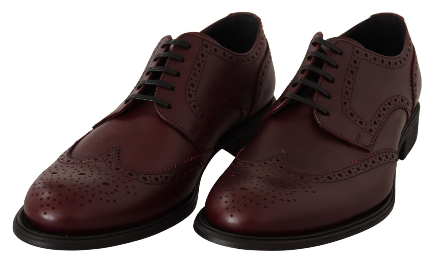 Dolce &amp; Gabbana Bordeaux-Leder-Oxford-Wingtip-Formelle Schuhe