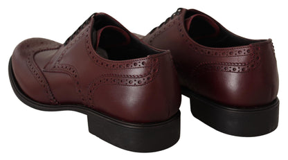 Dolce &amp; Gabbana Bordeaux-Leder-Oxford-Wingtip-Formelle Schuhe