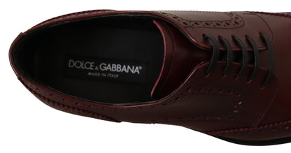 Dolce &amp; Gabbana Bordeaux-Leder-Oxford-Wingtip-Formelle Schuhe