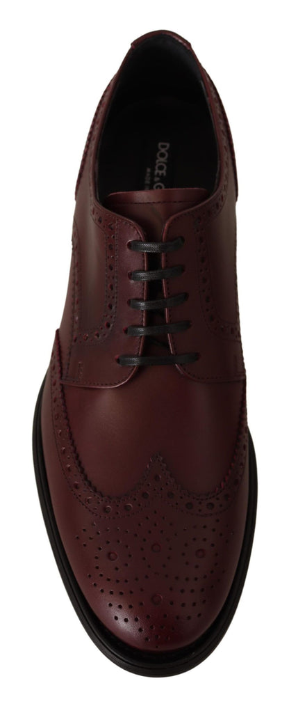 Dolce &amp; Gabbana Bordeaux-Leder-Oxford-Wingtip-Formelle Schuhe