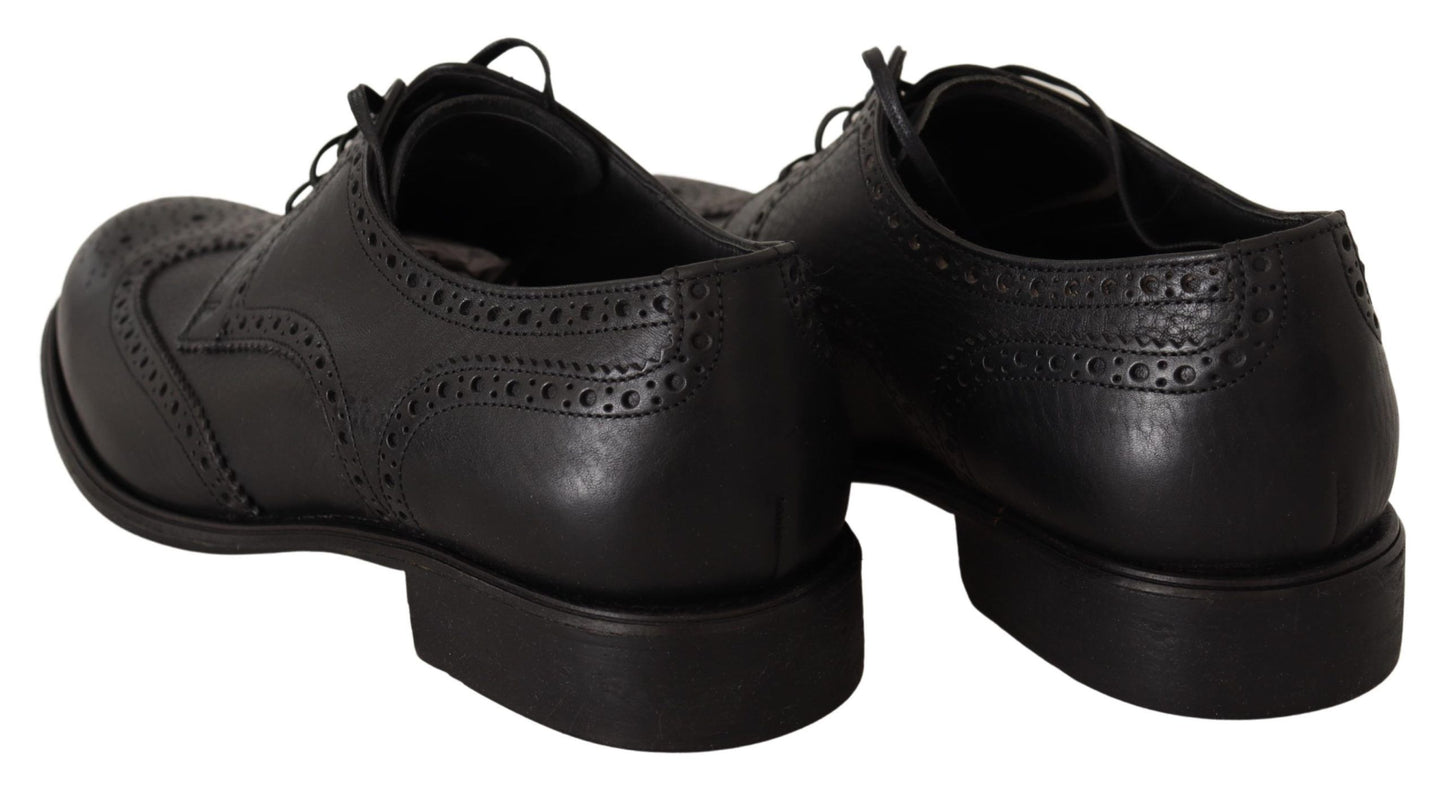 Dolce &amp; Gabbana Oxford-Schuhe mit Flügelspitze aus schwarzem Leder