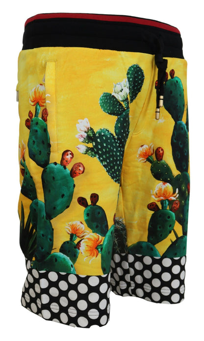 Mehrfarbige Baumwoll-Sweatshorts mit Kaktus-Print von Dolce &amp; Gabbana