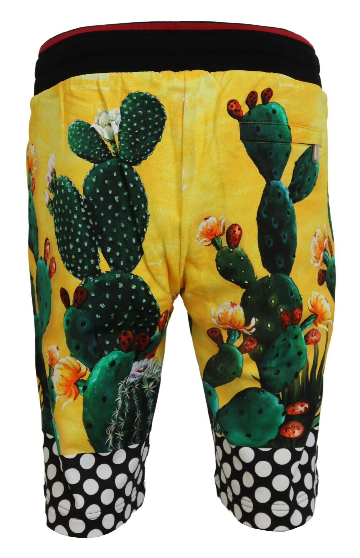 Mehrfarbige Baumwoll-Sweatshorts mit Kaktus-Print von Dolce &amp; Gabbana