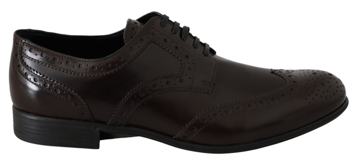 Dolce &amp; Gabbana Broques Oxford Wingtip-Schuhe aus braunem Leder