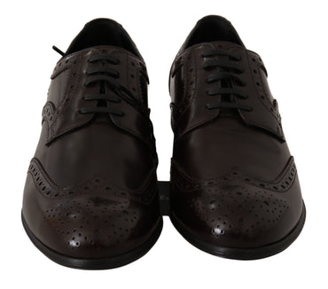 Dolce &amp; Gabbana Broques Oxford Wingtip-Schuhe aus braunem Leder