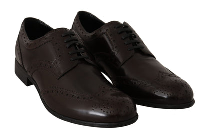 Dolce &amp; Gabbana Broques Oxford Wingtip-Schuhe aus braunem Leder