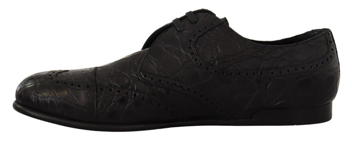 Dolce &amp; Gabbana Schwarze Caiman-Leder-Herren-Derby-Schuhe