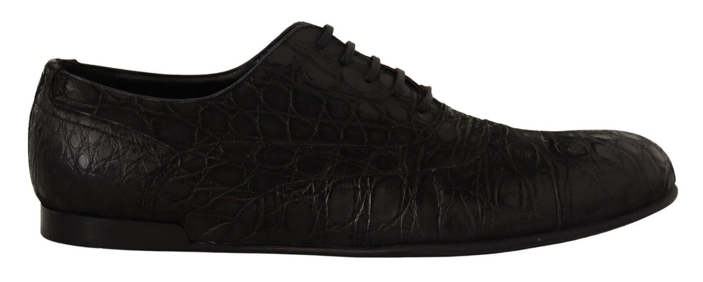 Dolce &amp; Gabbana Schwarze Caiman-Leder-Herren-Oxford-Schuhe