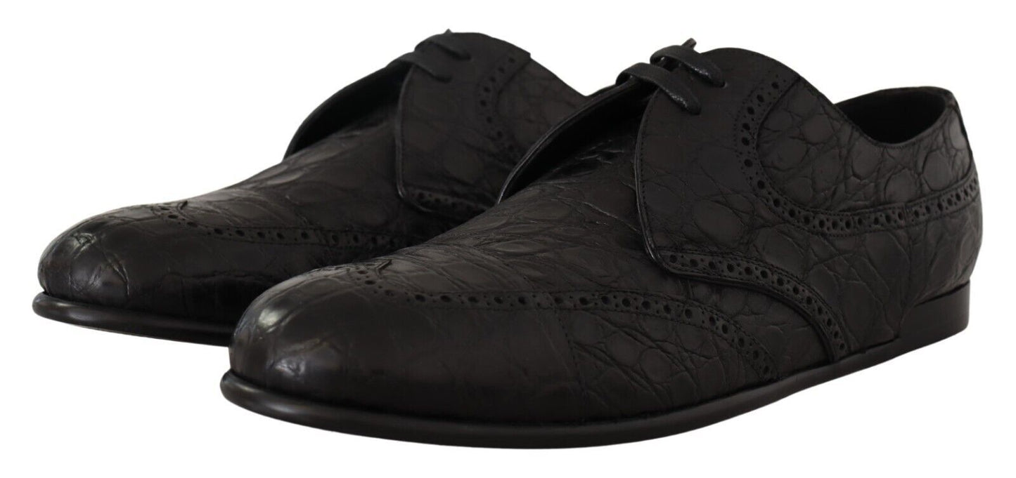 Dolce &amp; Gabbana Schwarze Caiman-Leder-Herren-Derby-Schuhe